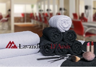 Lavanderia para Pet Shop
